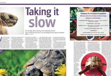 Pet Boarding The Tortoise B&B